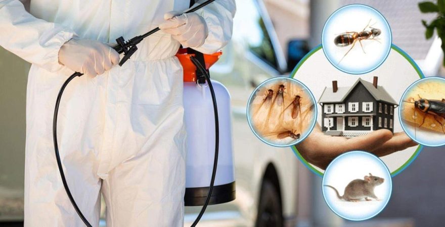 Polatlı Böcek İlaçlama