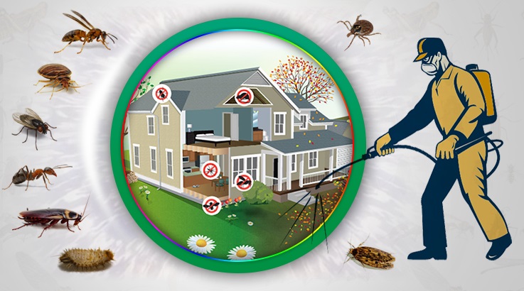 Polatlı Böcek İlaçlama