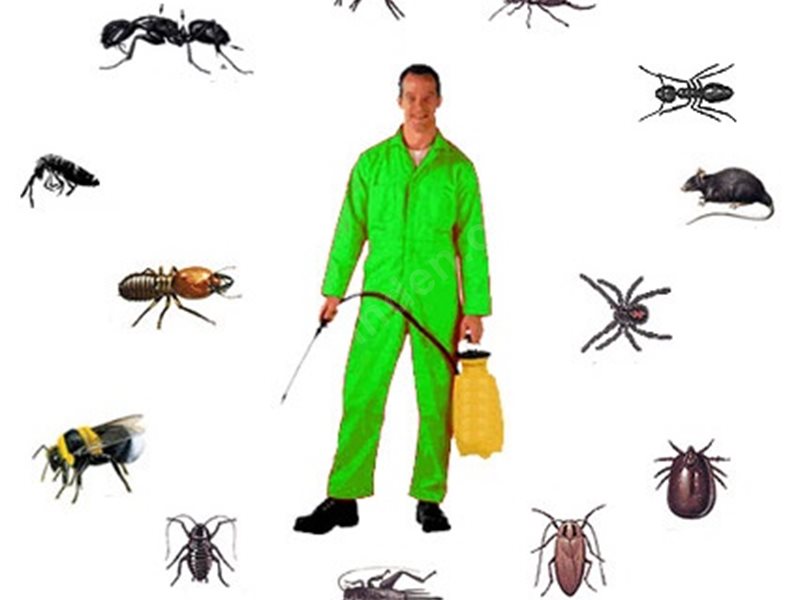 Polatlı Böcek İlaçlama